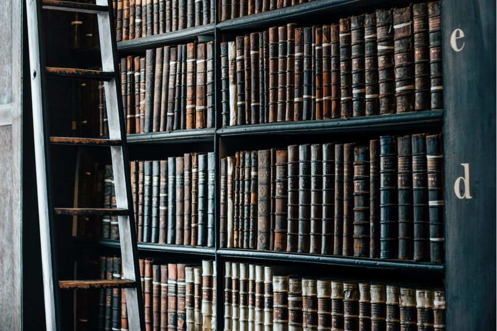 Bookshelves are filled with old, leather-bound books, lined neatly in rows. A tall wooden ladder leans against the shelves. Large alphabet letters "e" and "d" mark the shelves.