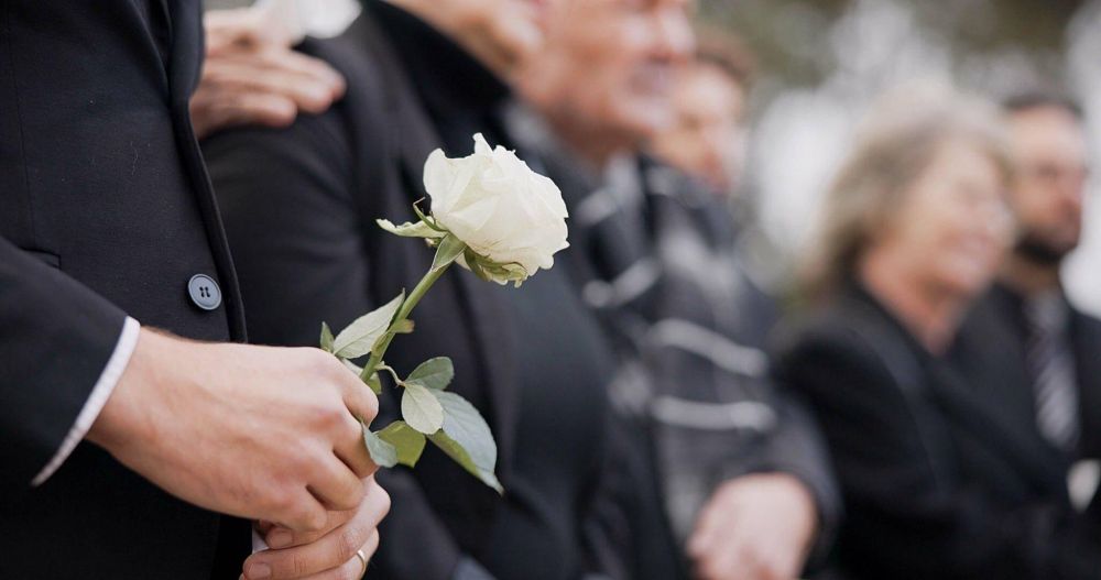 a person holding a white rose in their hands