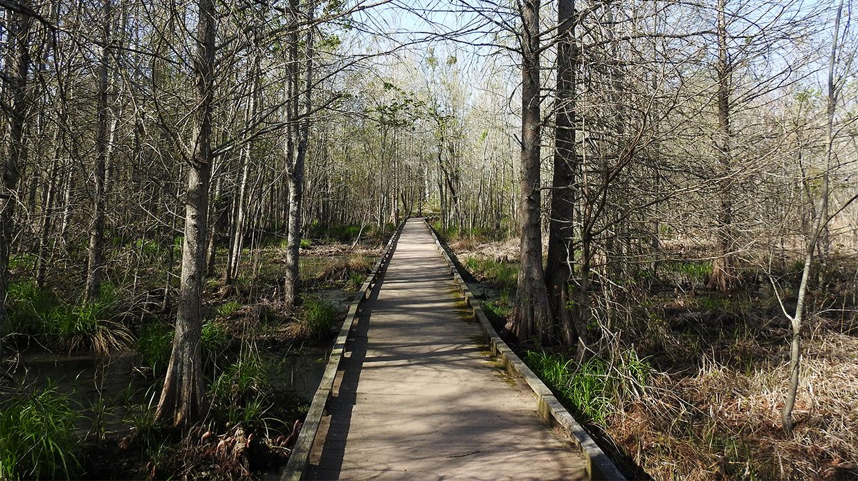 Wildlife Refuge hiking path in Suffolk, Virginia