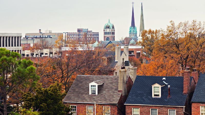 skyline view of portsmouth virginia with buildings and trees on the horizon